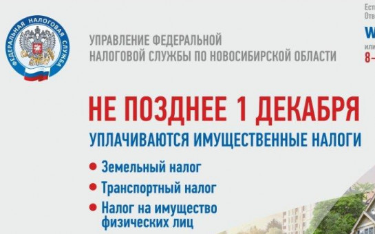 Не позднее 1 декабря оплачиваются имущественные налоги